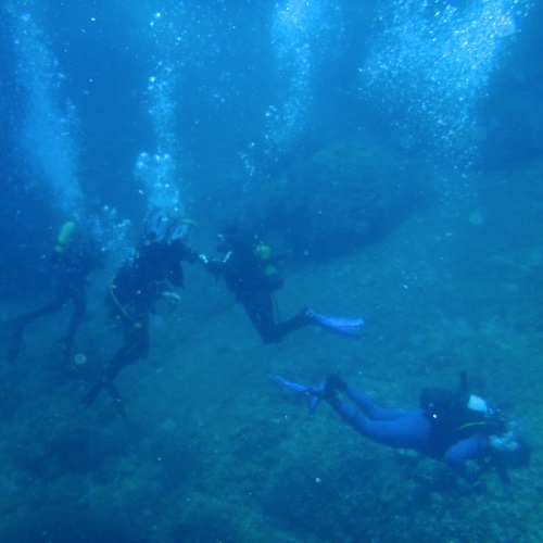Scruba Diving