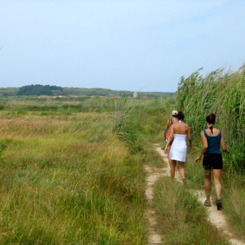 Hike to cape Darto