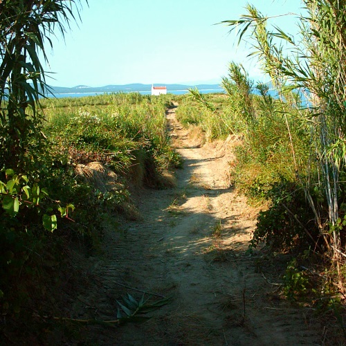 Hike to cape Darto