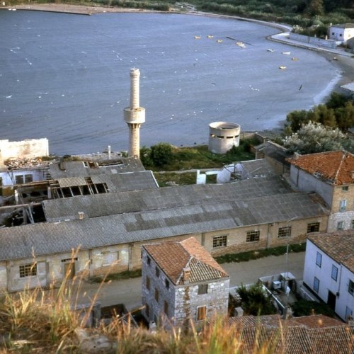 Brief history of Susak