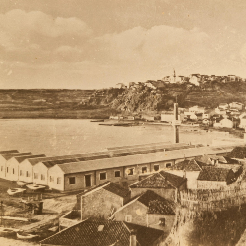 Susak Island Diaspora - From Susak to Hoboken