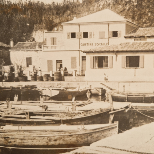 Susak Island Diaspora - From Susak to Hoboken